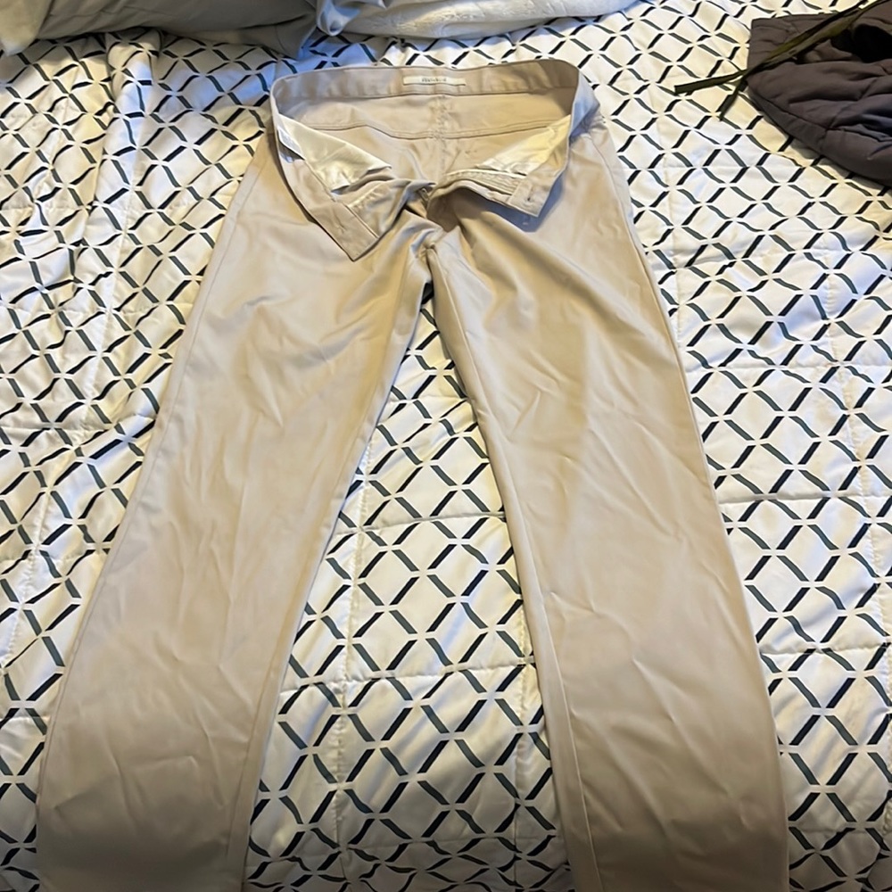Dress pants